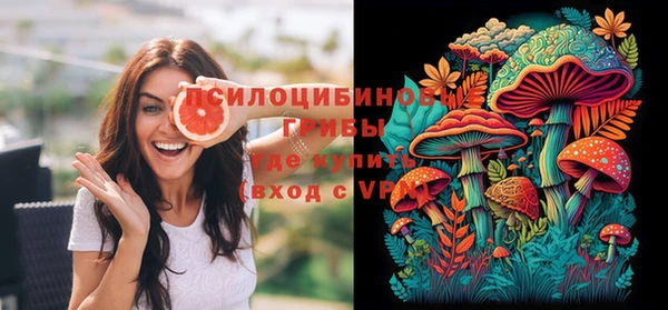спайс Алексин
