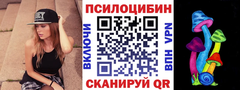 ОМГ ОМГ tor Порхов Псилоцибиновые грибы GOLDEN TEACHER